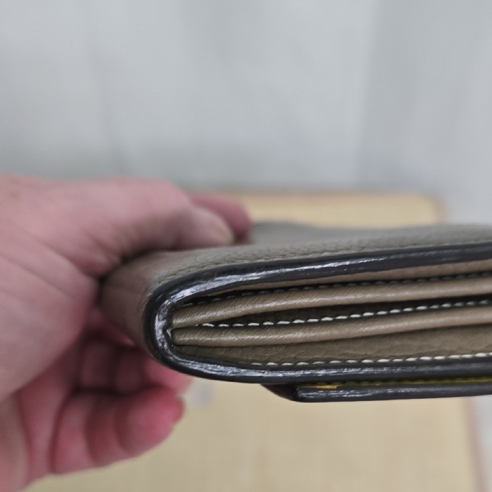 Celine Leather Bicolor Continental Wallet - Picture 11 of 14